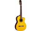 Takamine EG128SC