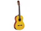 Takamine G124S
