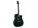 Takamine EG321C