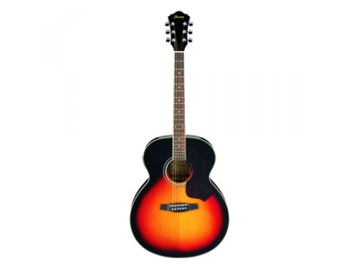 Ibanez SGT130E-VS  
