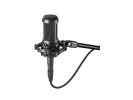 Audio-Technica AT AT2050 multi-pattern kondenzatorski mikrofon