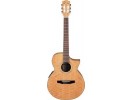 Ibanez EWN30SYE-NT