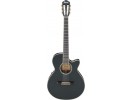 Ibanez AEG10NE-BK