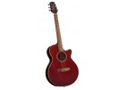 Takamine EG260C-WR