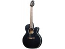 Takamine EG440CSTCY