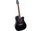 Takamine EG341SC ** akustična gitara akustična gitara