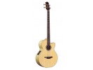 Takamine EG512CFG