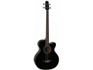Takamine EGB2S-BK bas gitara bas gitara