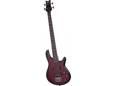 Schecter Raiden Special-4 Schecter Raiden Special-4