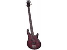 Schecter Raiden Special-4 