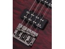 Schecter Raiden Special-4 