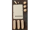 Fender PRIBOR Stratocaster Accessory Kit. Aged White  