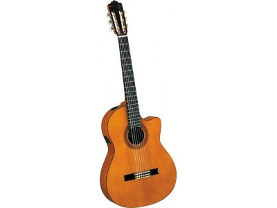 Yamaha CGX111SCA ** 