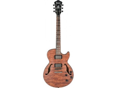 Ibanez AGS83BBG-NTF ** Ibanez AGS83BBG-NTF **