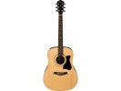 Ibanez V105SJP-NT ** Natural High Gloss Finish
