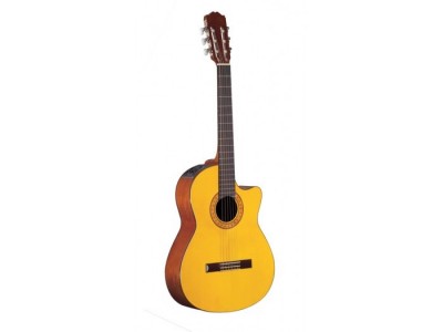 Takamine EG124C 