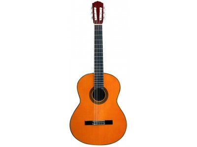 Fender CG 11E NYLON NAT ** Fender CG 11E NYLON NAT **