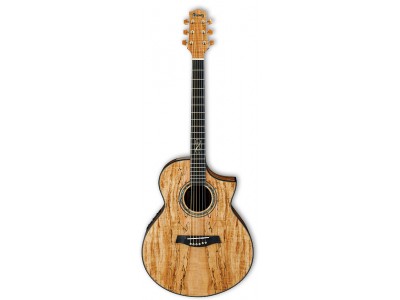 Ibanez EW50SME-NT 
