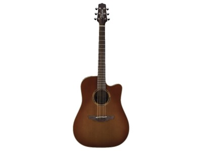 Takamine ETN10CTBS 