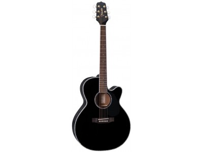 Takamine EG541DLX Takamine EG541DLX