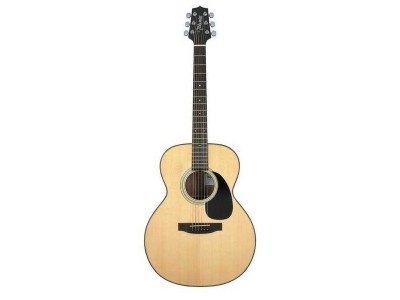 Takamine G220-NS 