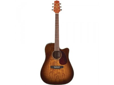 Takamine EG333C-LTD ** 