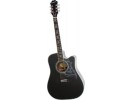 Epiphone Legacy Dave Navarro Signature Acoustic/Electric Ebony Nickel  