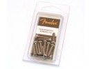 Fender PRIBOR Pickup/Switch Mounting Screws. Most Fender Instruments. Chrome(12) *  