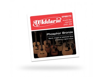 D'Addario EPBB170 SET ACOUSTIC BASS PB 45-100 EPBB170