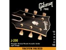 Gibson PRIBOR J200 Phos Bronze Acous .012-.053 Bronze  