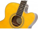 Epiphone Legacy Joan Sebastian 