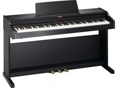 Roland RP-301R-SB 