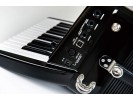 Roland FR-1X-BK 