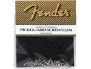 Fender PRIBOR Pickguard Mounting Screws. Chrome (24) *  