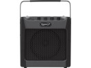 Fender Passport Mini. Black  