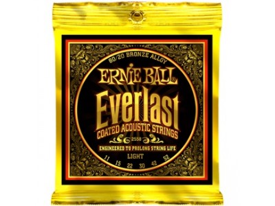 Ernie Ball P02558 EST 80/20 LIGHT AC O 