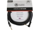 Planet Waves PW-AMSGRA-20 AMERICAN STAGE INST CBL RA 20'  