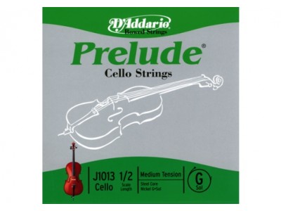 D'Addario J1013 1/2M Single String G 