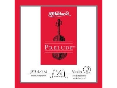 D'Addario J813 4/4M Single String D 