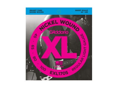 D'Addario EXL170S 