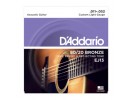 D'Addario EJ13  