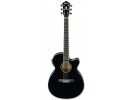 Ibanez AEG10II-BK akustična gitara akustična gitara