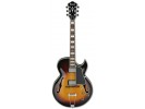 Ibanez AKJ95-VYS električna gitara električna gitara