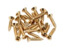 Fender PRIBOR Pickguard Mounting Screws. Gold (24) *  