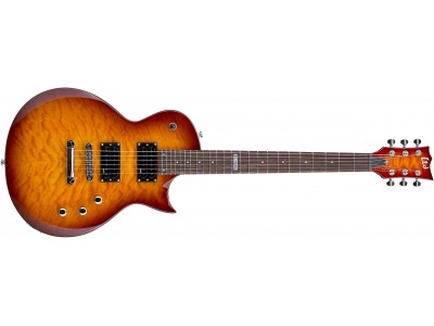 LTD EC-100QM FCSB LTD EC-100QM FCSB