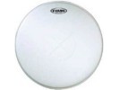 Evans B12G1 12" GEN G1 CTD  