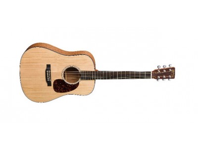 Martin Dreadnought Junior 