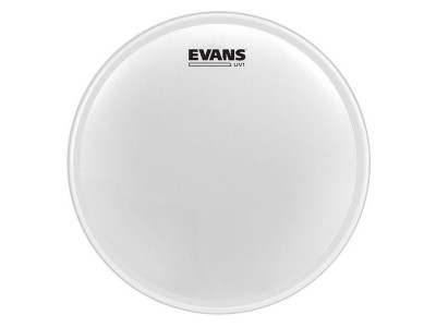 Evans B10UV1 