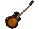 Yamaha APX600 OVS