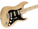 Fender American Pro Stratocaster MN NAT
